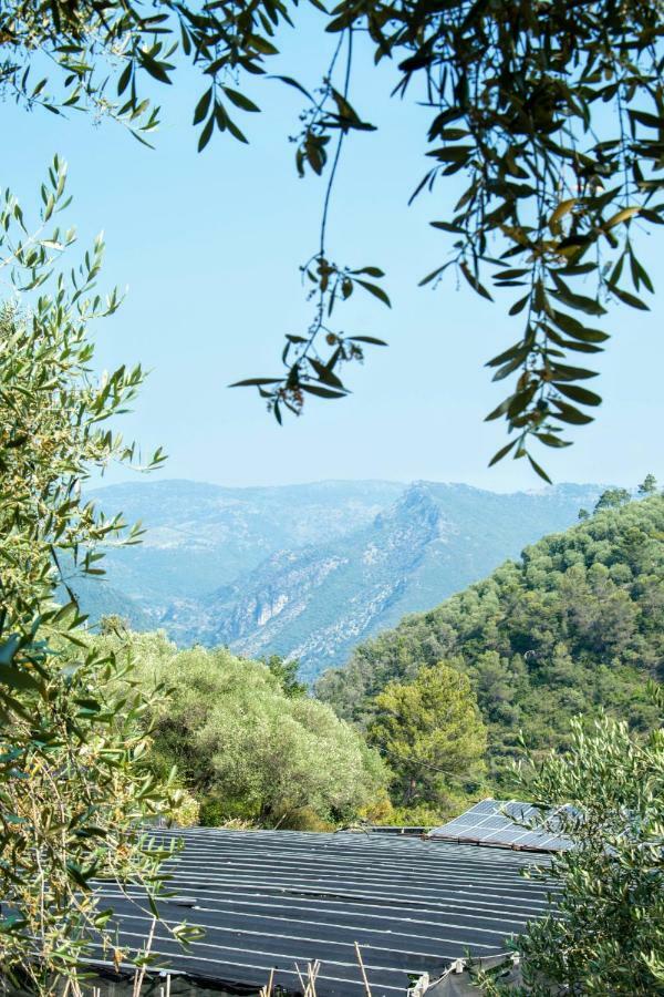 Le Ortensie Country house Dolceacqua