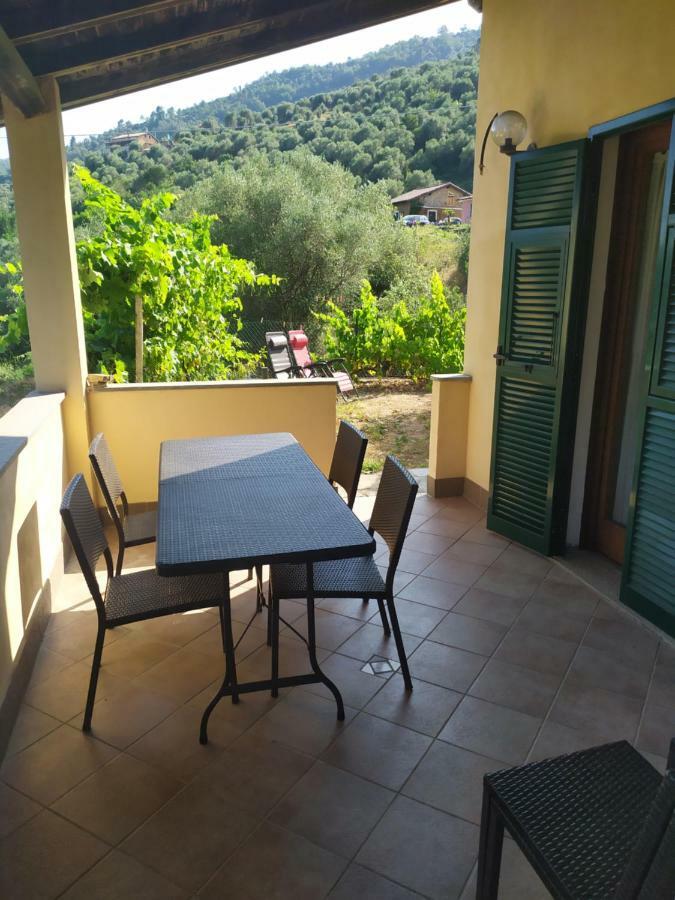 Le Ortensie Dolceacqua